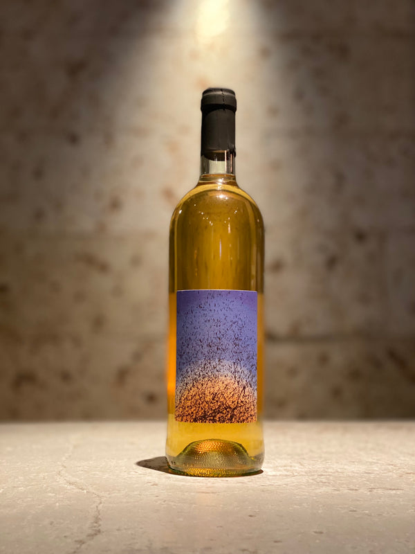 エリージョ・ビアンコ2024 再入荷