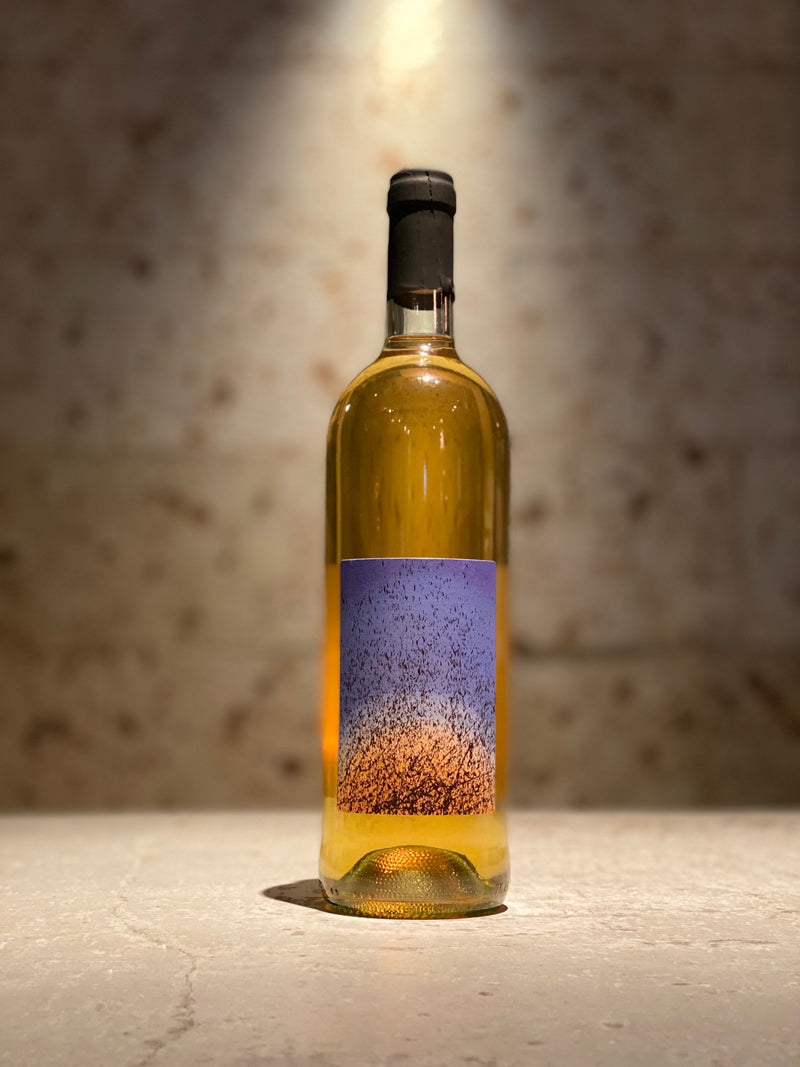 エリージョ・ビアンコ2024 再入荷