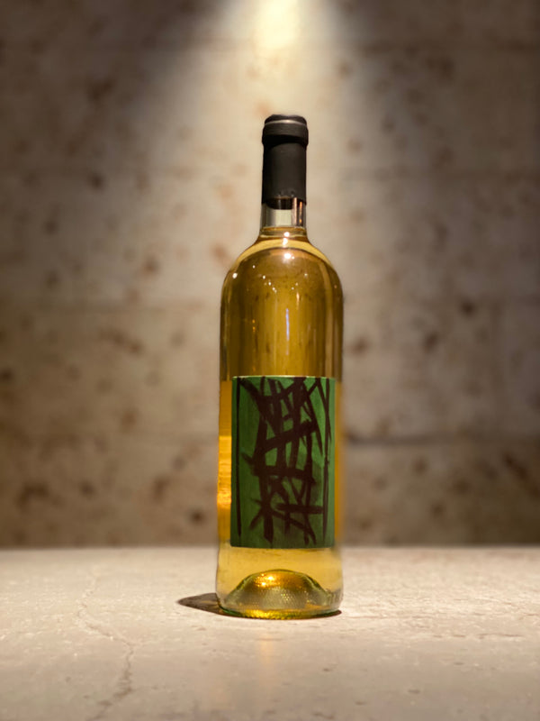 マモロ・ピニョレット2023