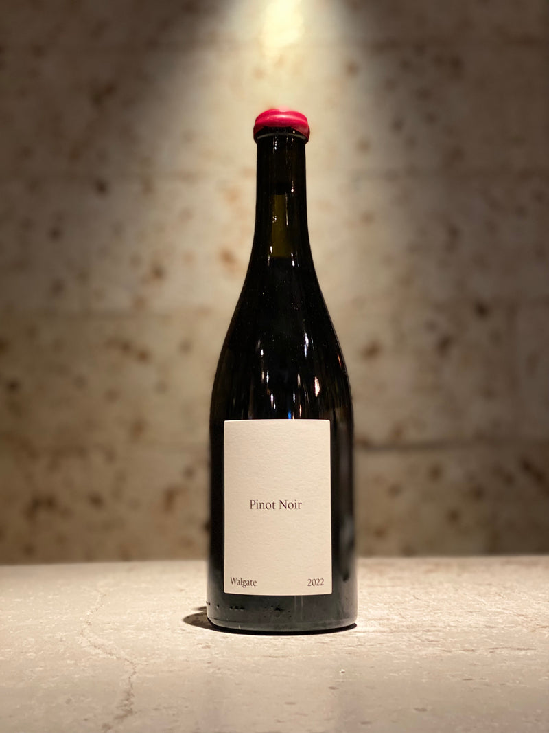 ピノノワール 2022