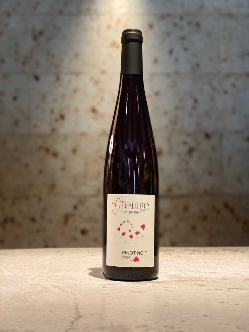 MT ヴァン ピノノワール 2024 – LAGOULUE WINE online shop